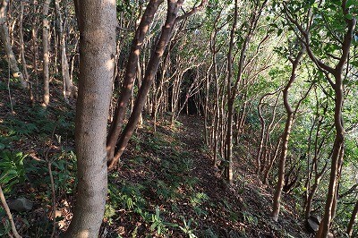 IMG_9641