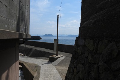 DSCN6655
