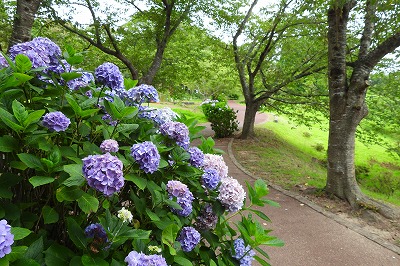 DSCN3481