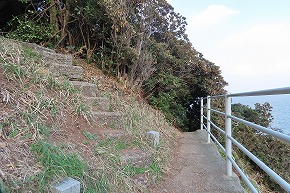 IMG_9221