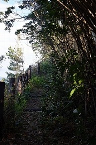 dsc092551