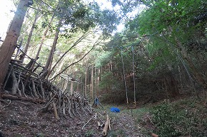 IMG_9286