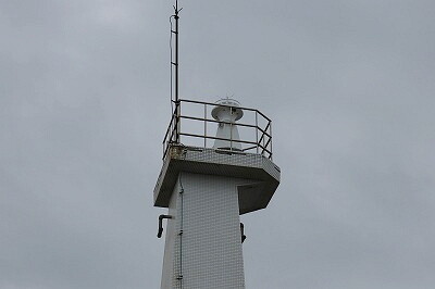IMG_4239