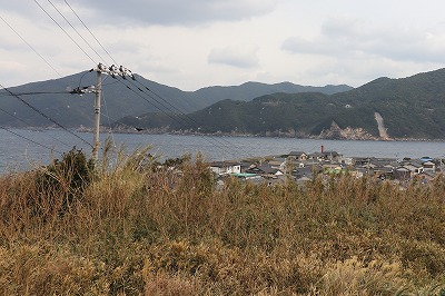 IMG_9857