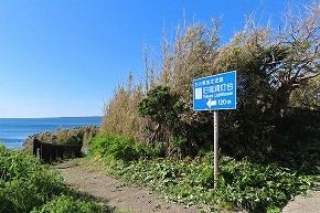IMG_9512