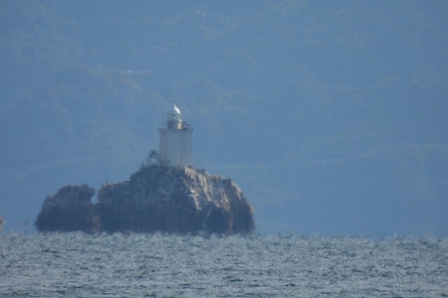 DSCN0935