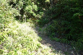 DSC00873
