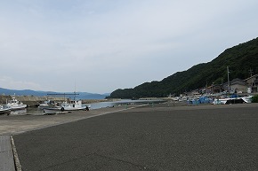 IMG_0575