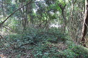 IMG_0907
