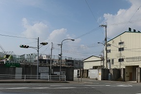 IMG_5900 (1)
