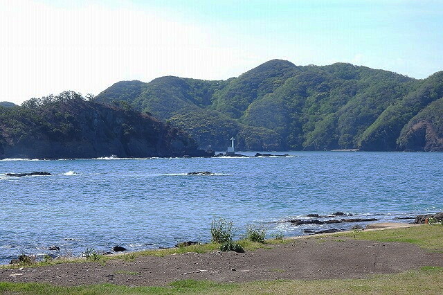 DSCN6731