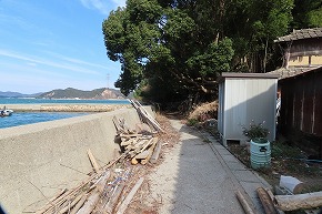 IMG_6047