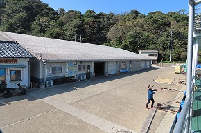 IMG_9335