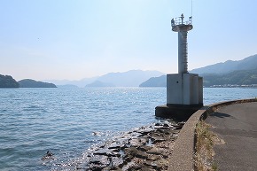 img_0736