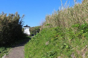 IMG_9513