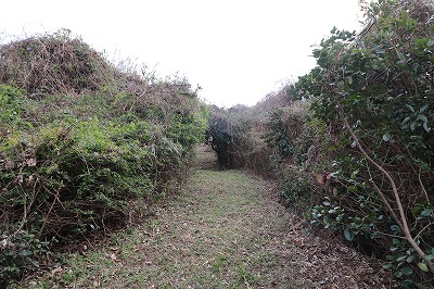 IMG_5461 (1)