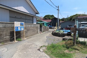 IMG_9211