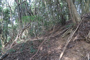IMG_0906