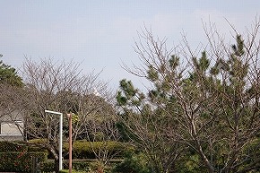 dsc09915