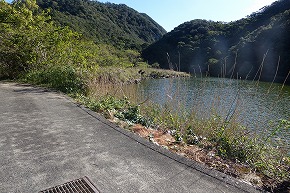 DSC00865
