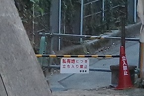 IMG_0209 (1)