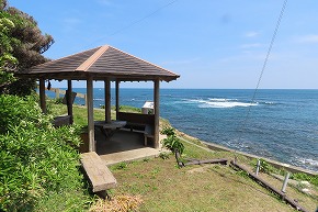 IMG_9224