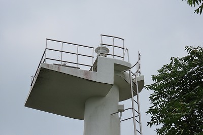 IMG_3907