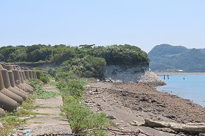 IMG_8069