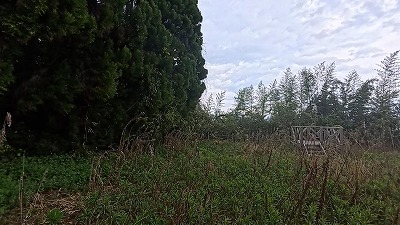 Snapshot_5