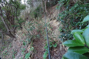 IMG_6063