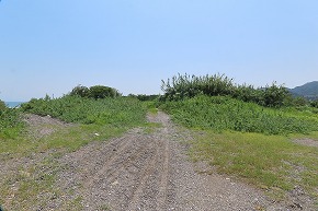 IMG_8056