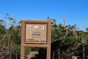 IMG_5699