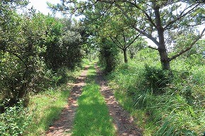 IMG_8053