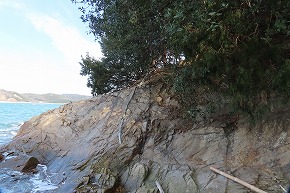 IMG_6051