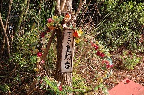 IMG_0273
