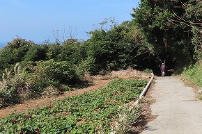 IMG_9348