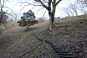 IMG_5990