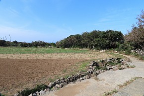 IMG_9367