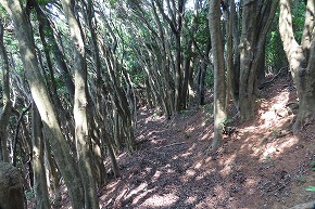 IMG_0908