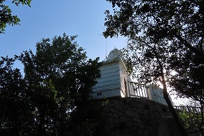 IMG_0311