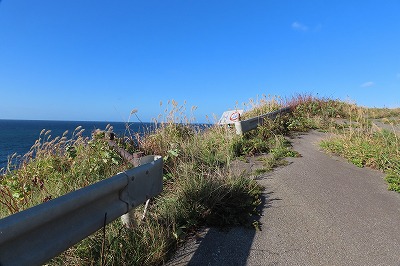 IMG_4402