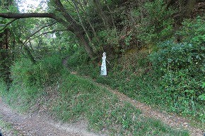IMG_0365
