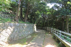 IMG_0991