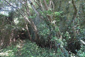 IMG_8089