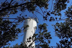 IMG_1081