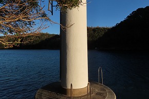IMG_9561