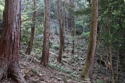 IMG_6838