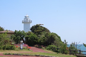 IMG_9101