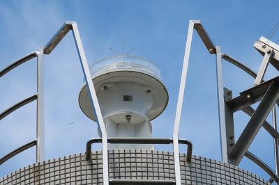 IMG_4126