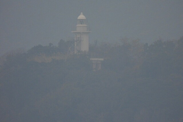 DSCN6141